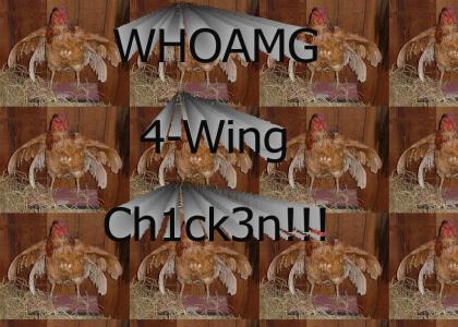 4-winged Chicken