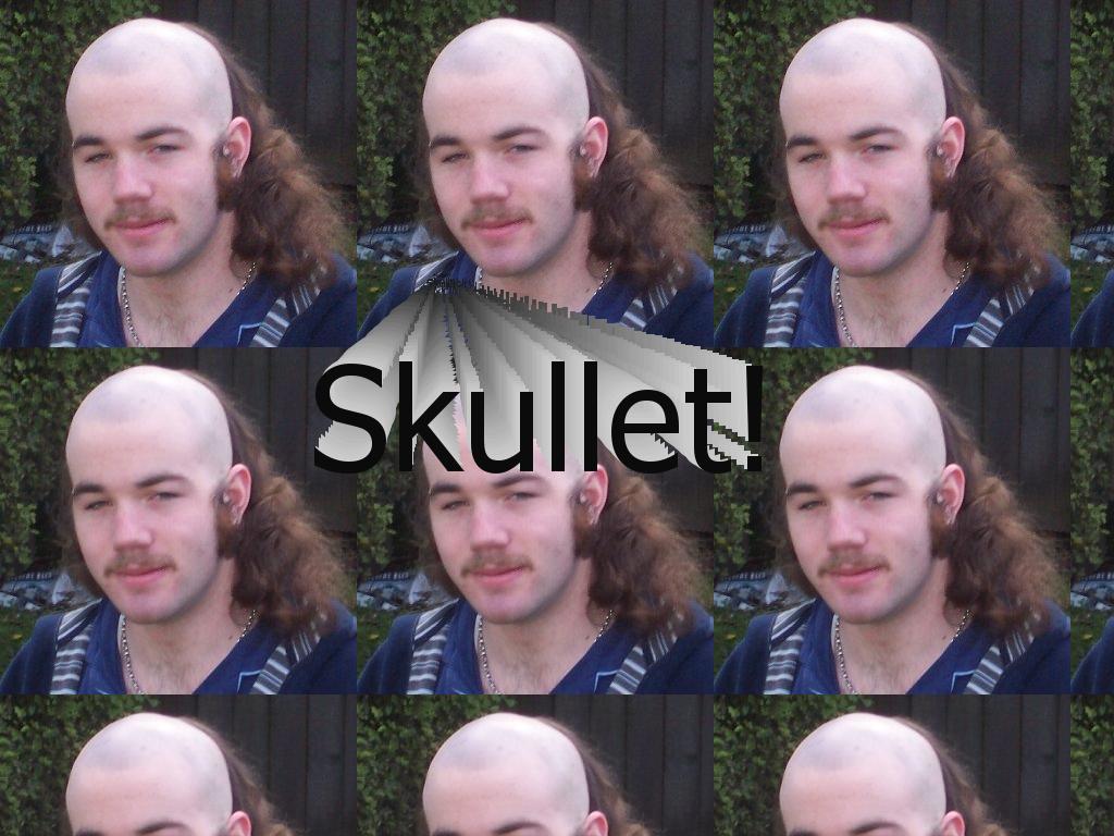 mullettherevenge