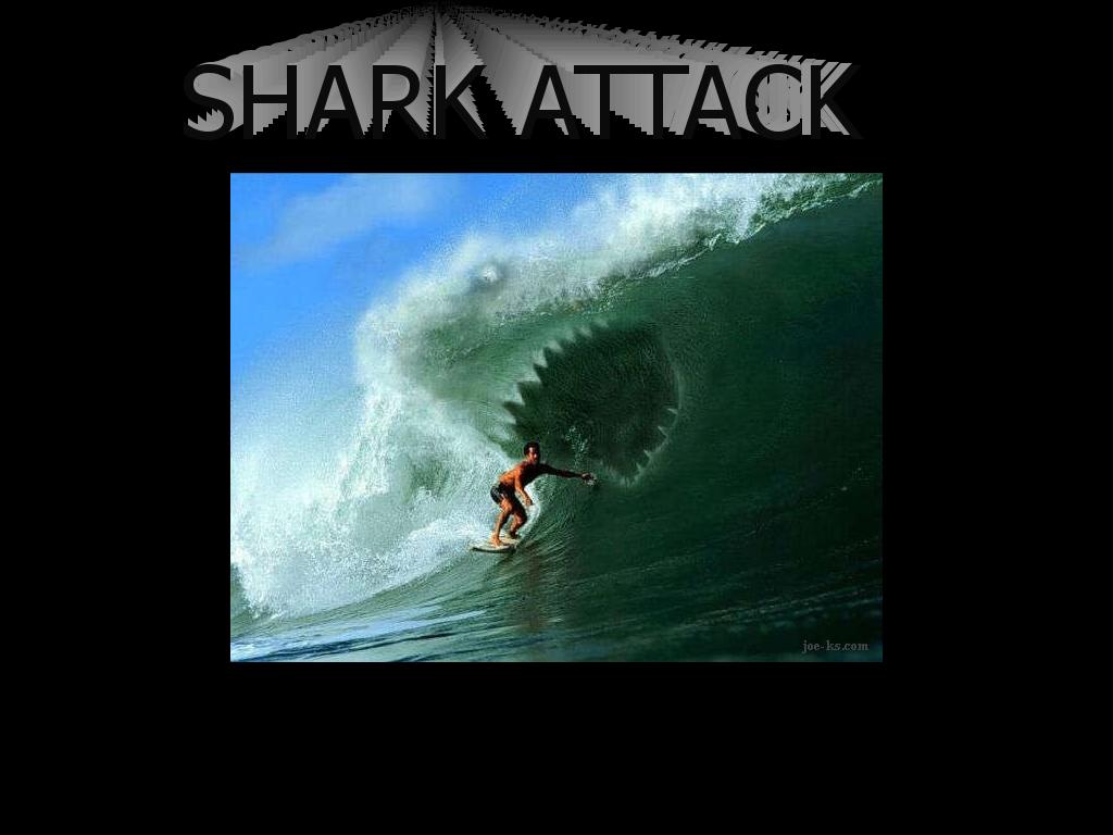 sharkwave