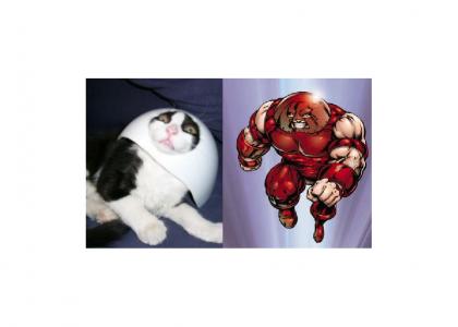 Juggernaut's Cat