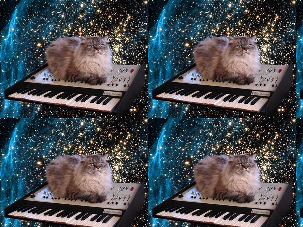 gooftrooptmndcatonakeyboardinspace