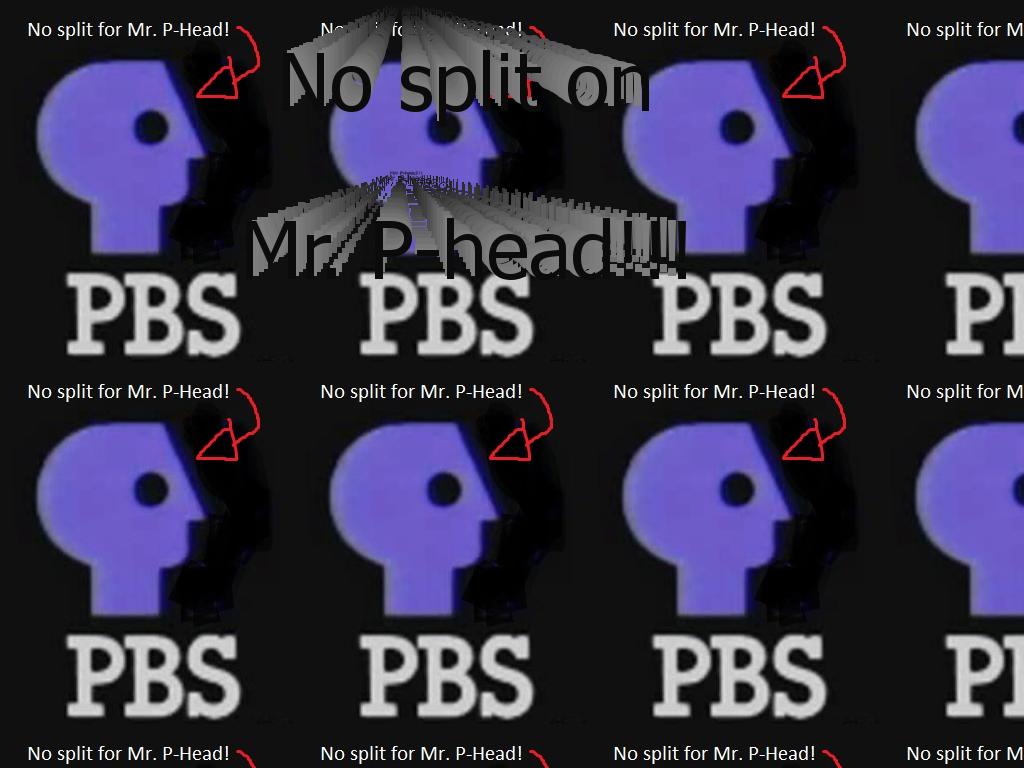 pbssplitlogo