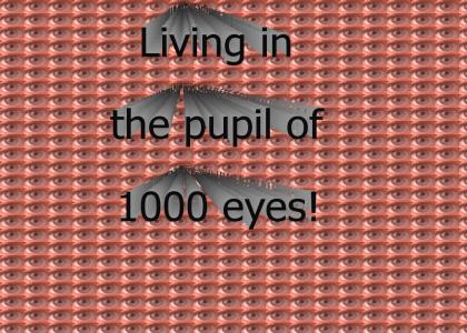 1000 eyes