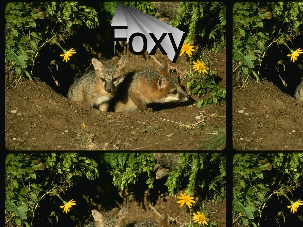 foxay