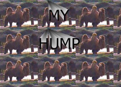 My hump (best picture)