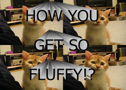FLUFFFFFY
