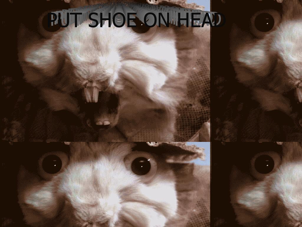 shoeheadanime