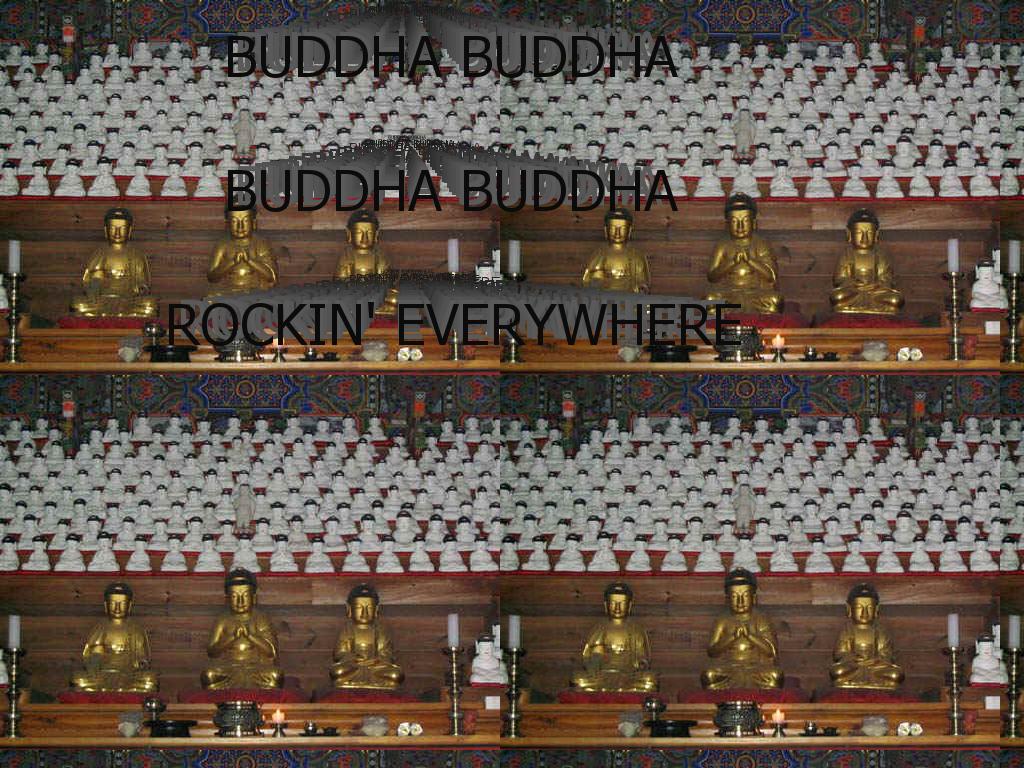 buddharockineverywhere