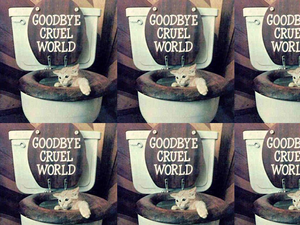 goodbyecruelworld