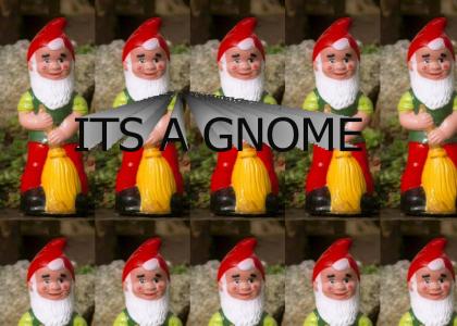 It's a Gnome