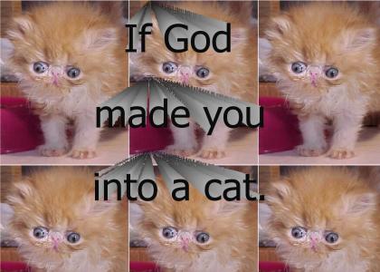 If God made you into a cat