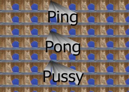 Ping Pong Pussy