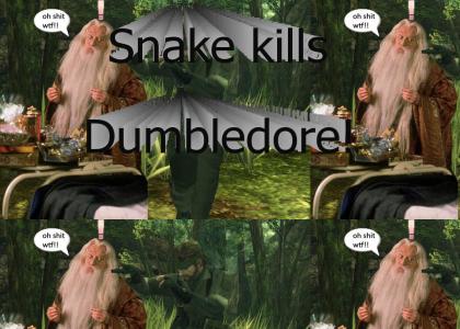 Snake kills Dumbledore