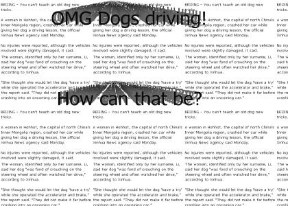WTF articles 1:Whos driving?