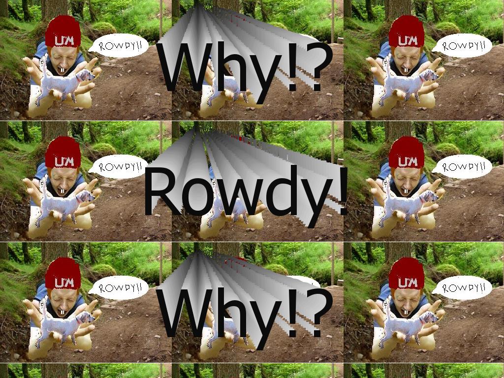 whyrowdy