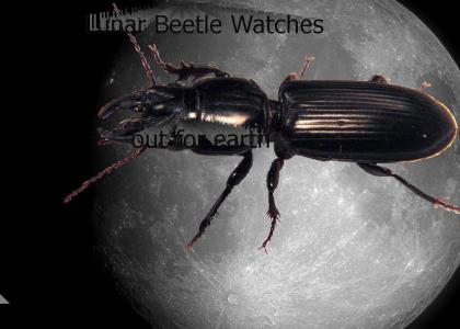 YHTMOAG Lunar Beetle (now 100% more watermark)