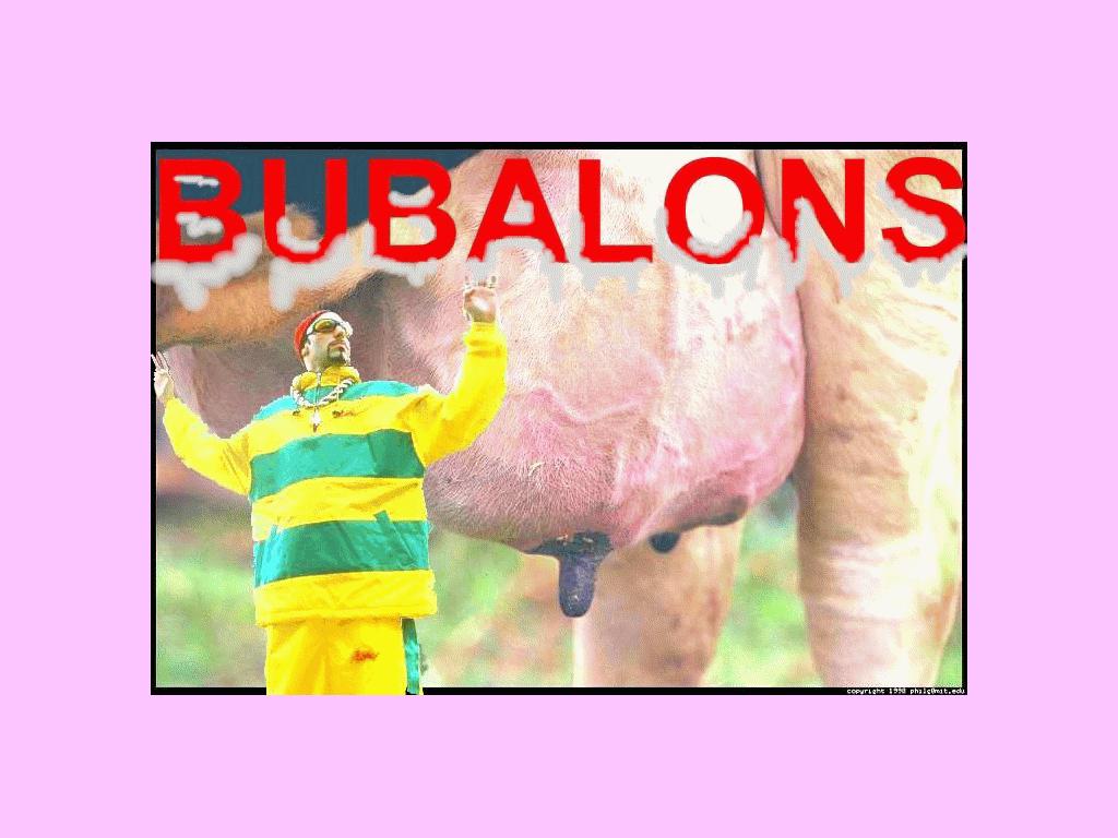 Bubalons