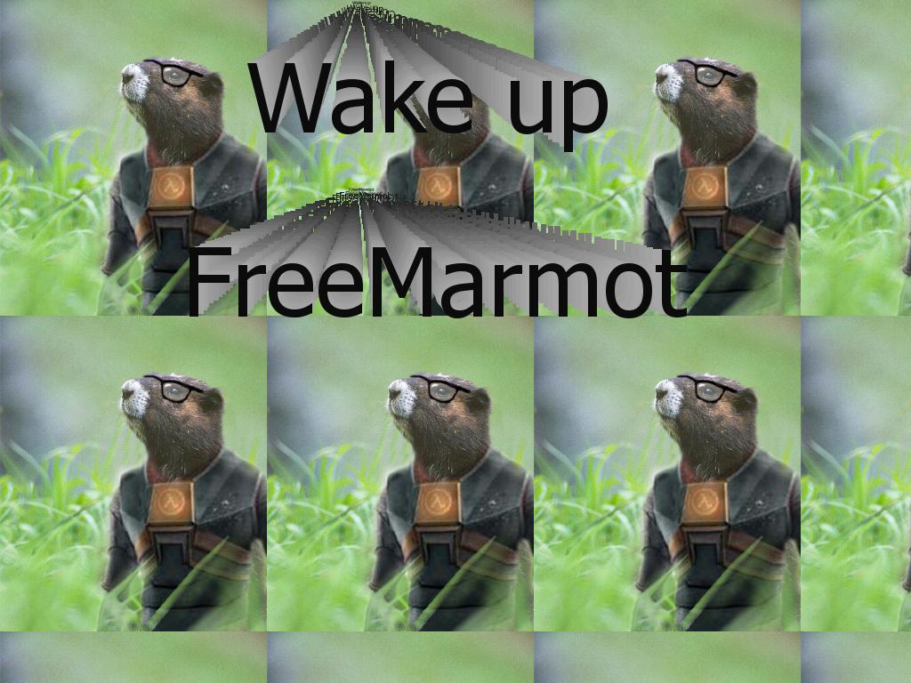 GordonFreeMarmot