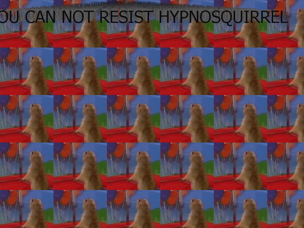 hypnosquirrel