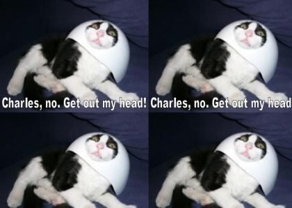 Get outta my head Charles!