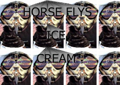 HORSE FLIES ICE CREAM