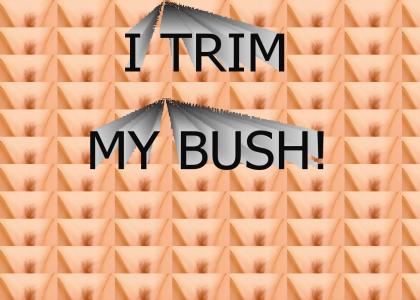 I Trim My Bush