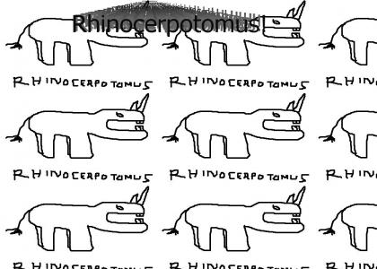 Rhinocerpotomus