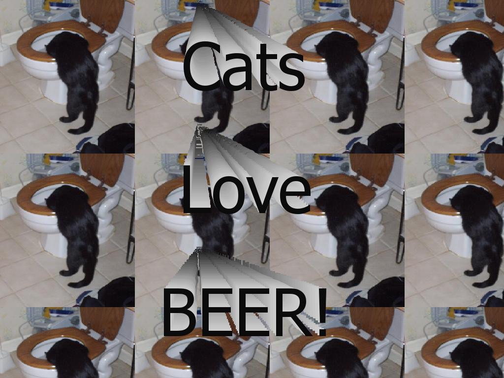 catslovebeer