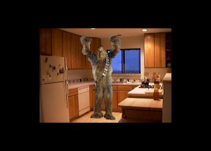 Wookie in the kitchen