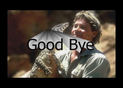 YTMND Fan Gone: Steve Irwin