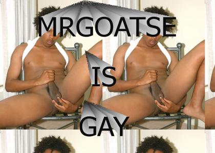 mrgoatse is a homo