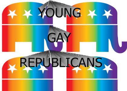 YOUNG GAY REPUBLICANS