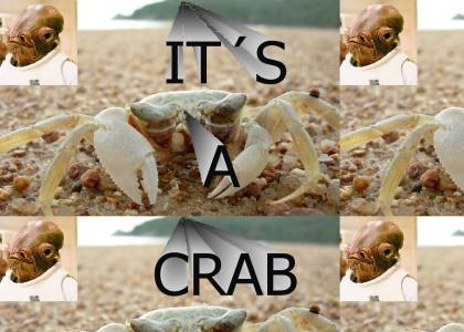 IT'S A CRAB