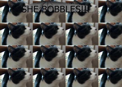 Bobble Head Cat