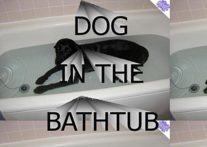 PTKFGS: DOG IN THE BATHTUB