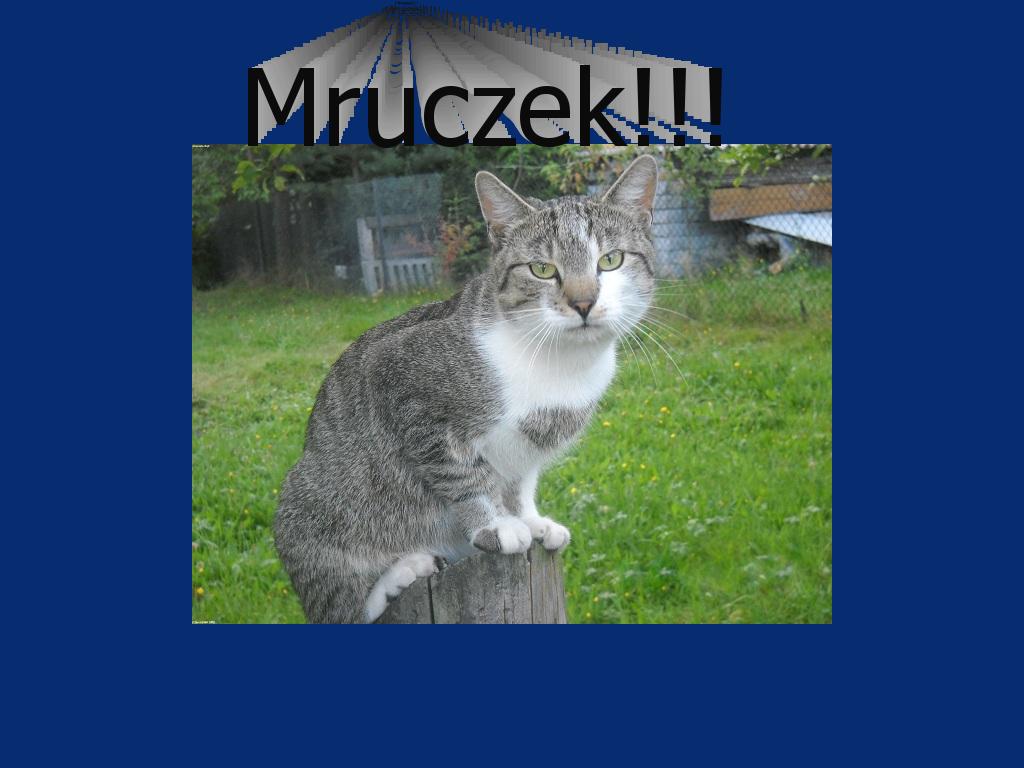 mruczekmuza