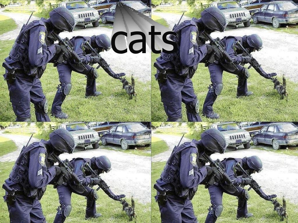 catswatteamowned