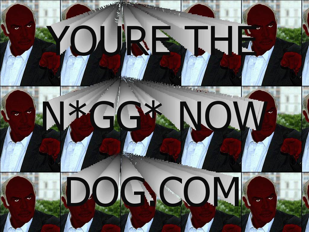 yourethenigganowdog