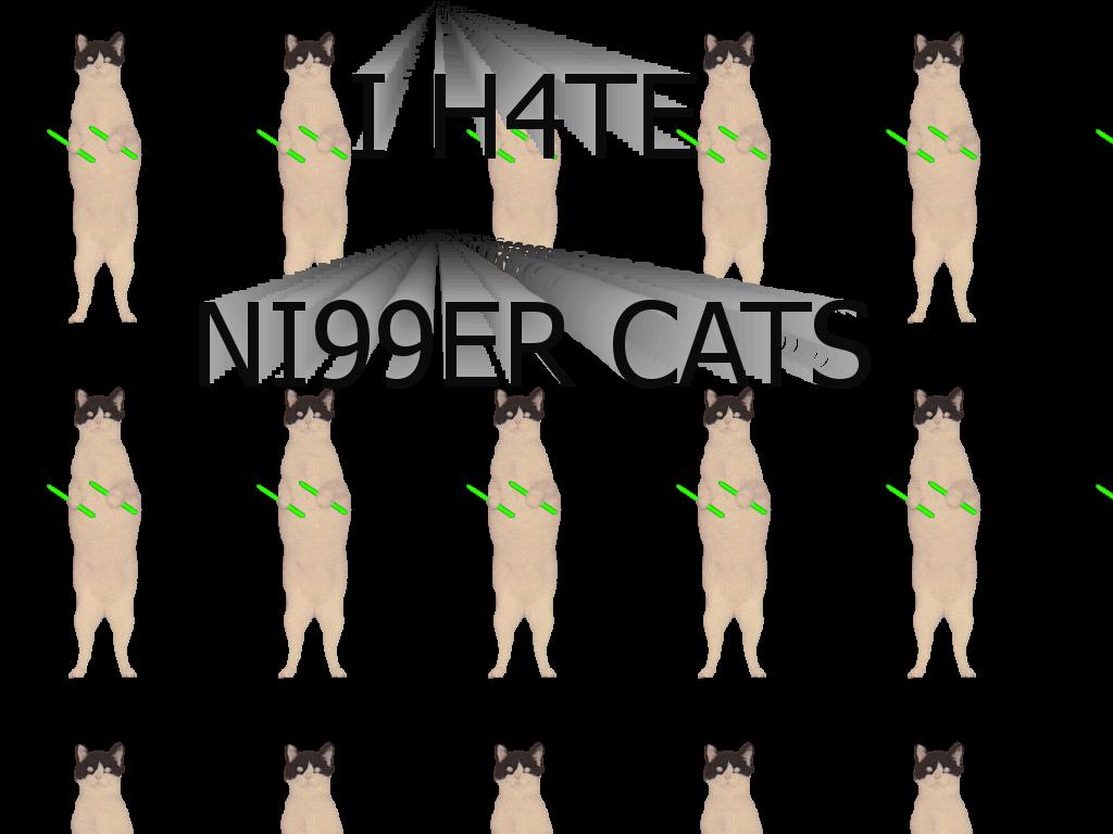 ni99ercats