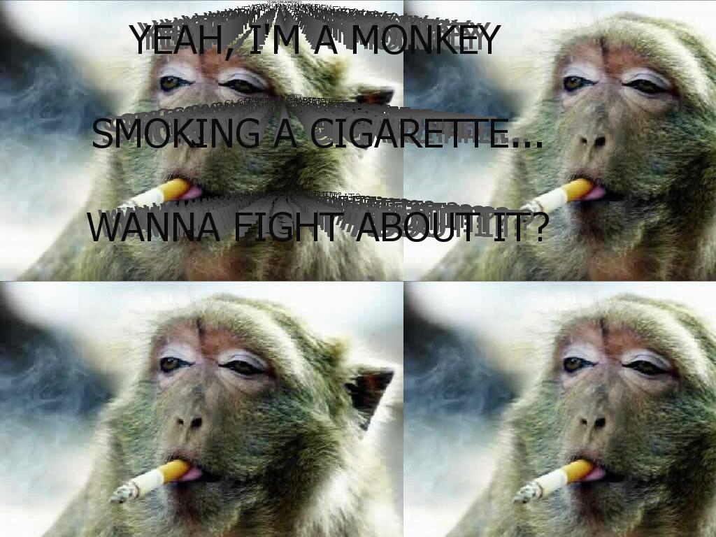 monkeylounge