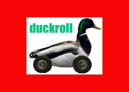 DuckRool