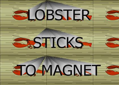 Lobster sticks to magnet