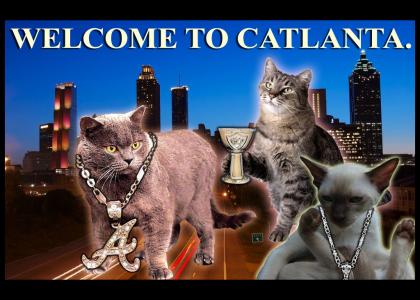 Welcome to Catlanta.