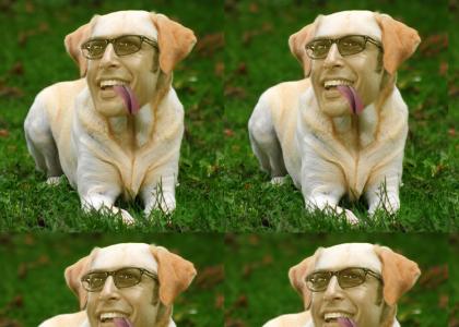 Jeff Goldblum Retriever