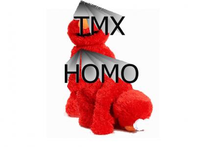 TMX HOMO