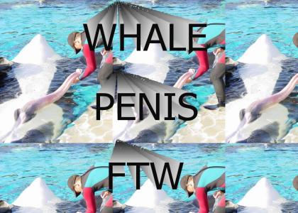 WHALE PENIS