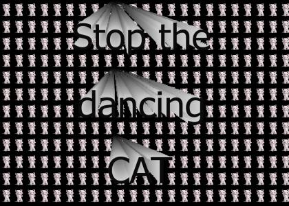 Stop the dancing cat!!