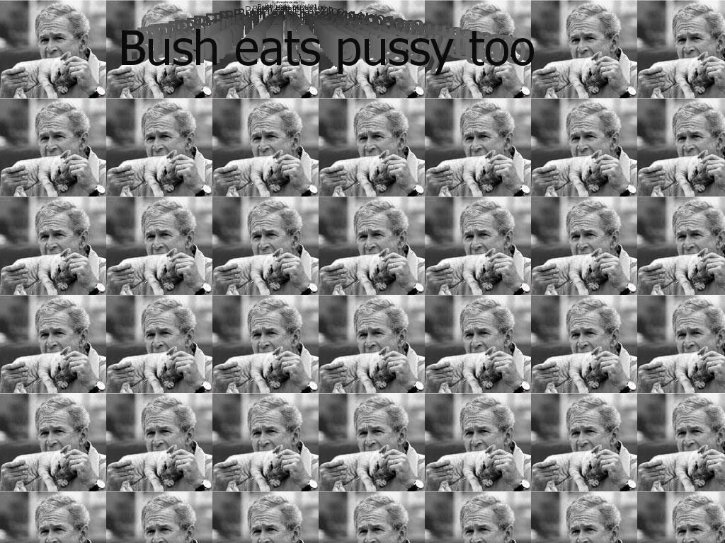 BushandthePussy