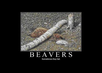 Beavers lol