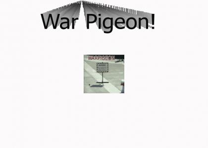 He-Mans War Pigeon